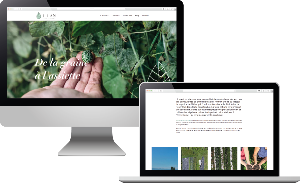 Lilan site web - portfolio website - Schwarz&Co