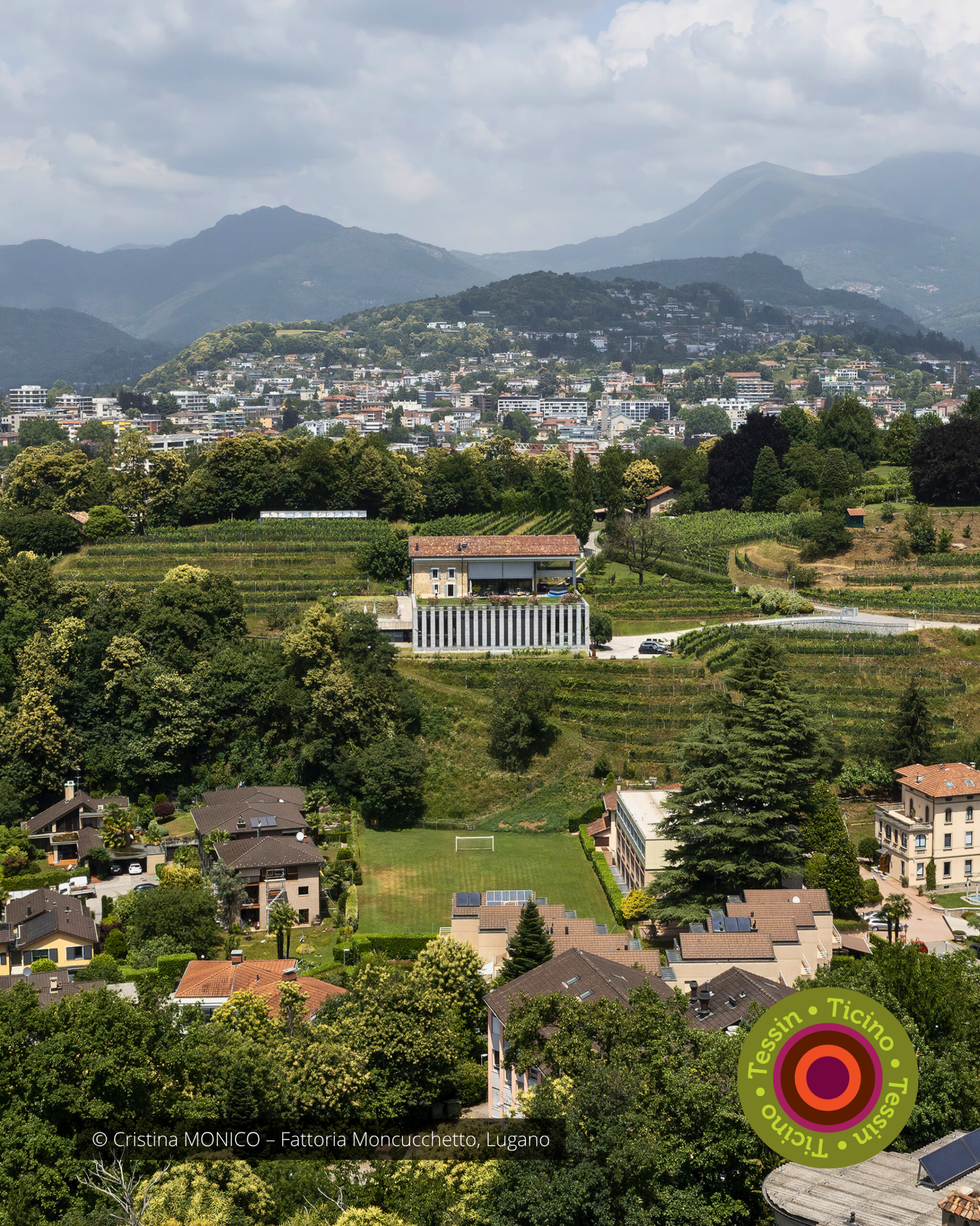 Nous Artisanes du Vin - Coffret 6 - Regions viticoles - instagram - portfolio website - Schwarz&Co