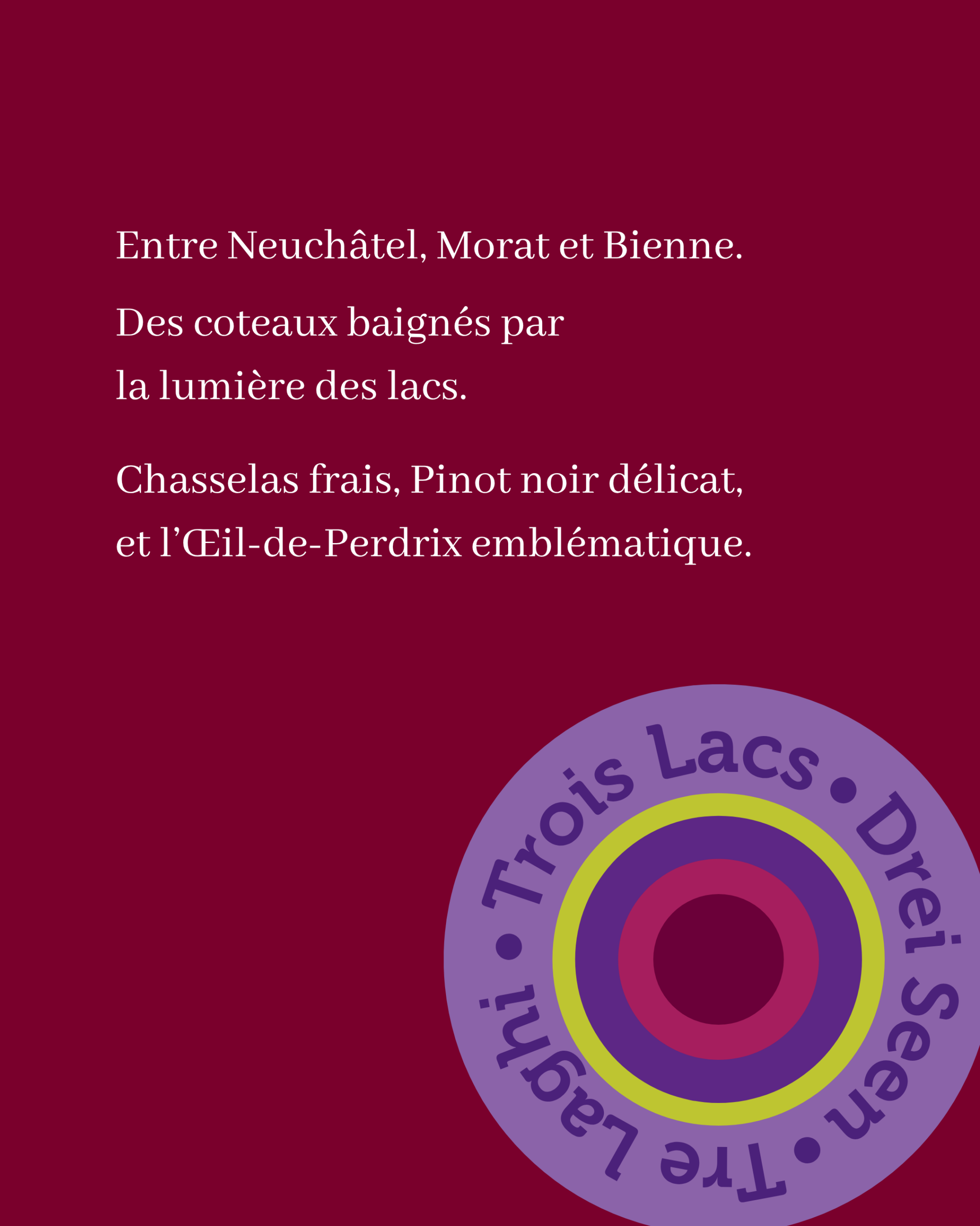 Nous Artisanes du Vin - Coffret 6 - Regions viticoles - instagram - portfolio website - Schwarz&Co