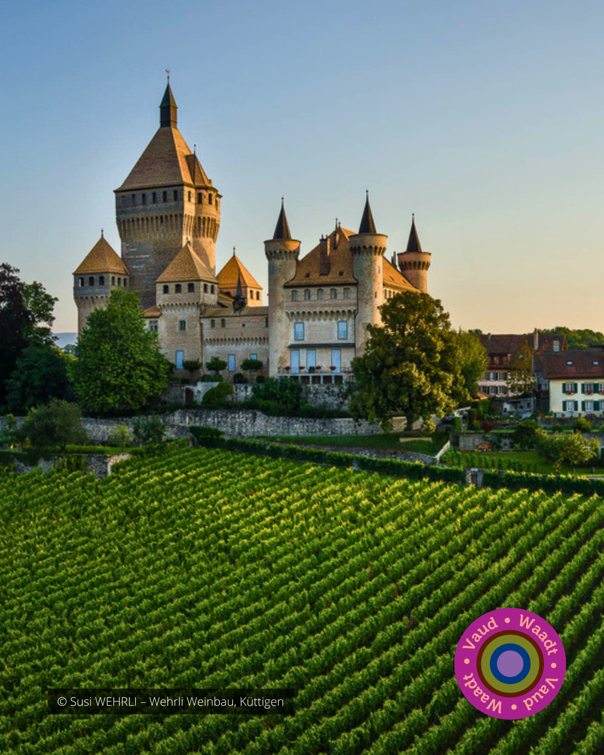 Nous Artisanes du Vin - Coffret 6 - Regions viticoles - instagram - portfolio website - Schwarz&Co
