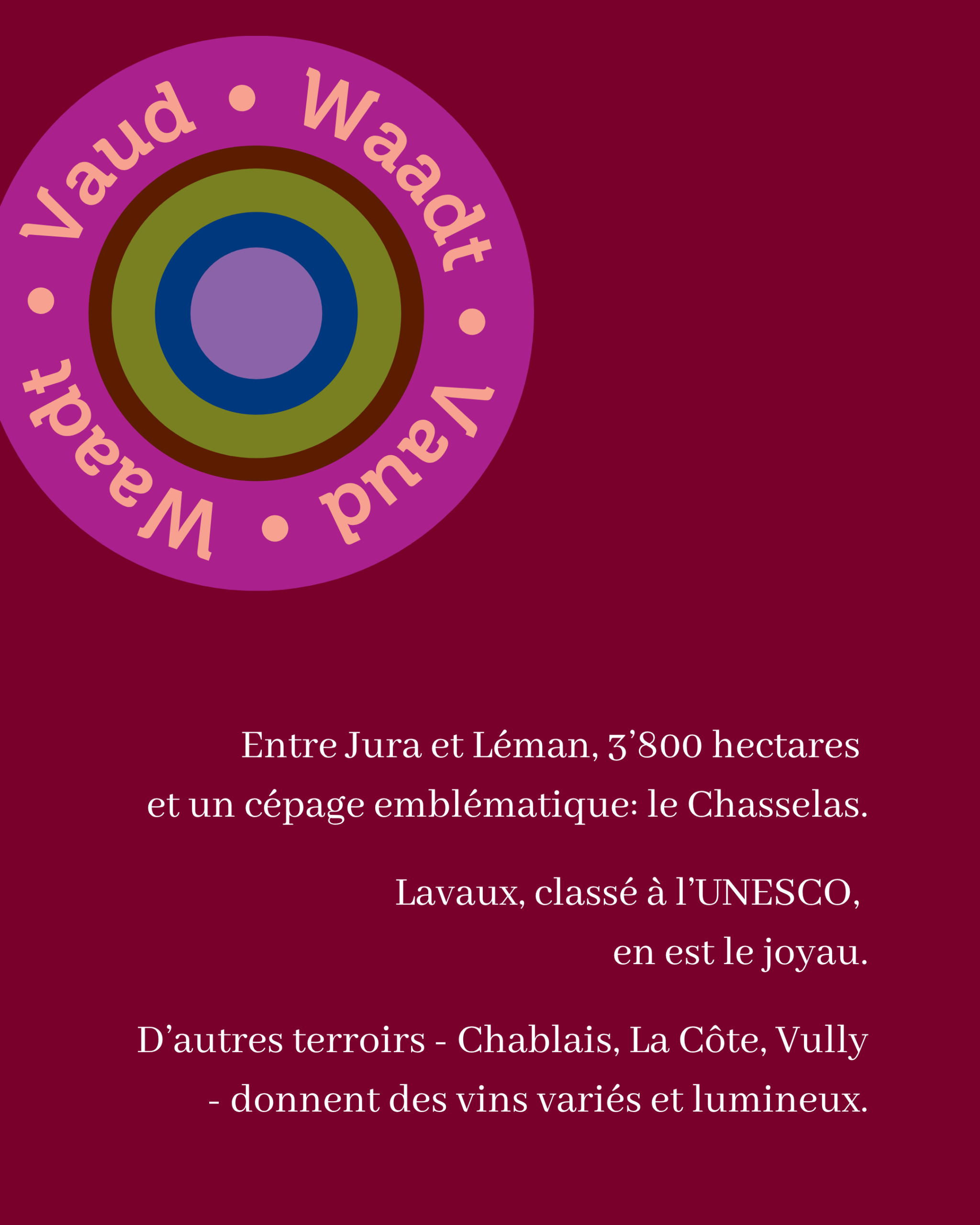 Nous Artisanes du Vin - Coffret 6 - Regions viticoles - instagram - portfolio website - Schwarz&Co