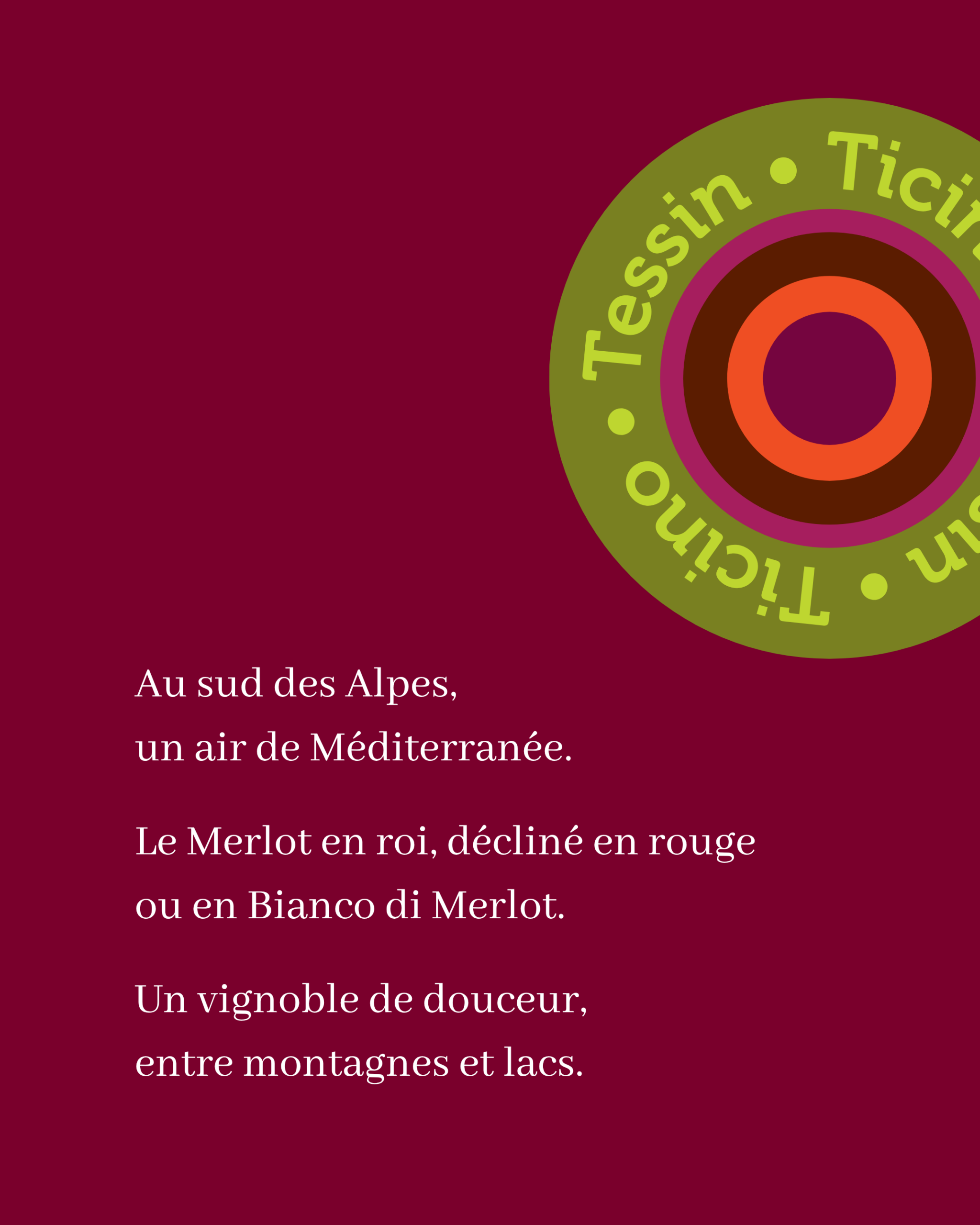 Nous Artisanes du Vin - Coffret 6 - Regions viticoles - instagram - portfolio website - Schwarz&Co