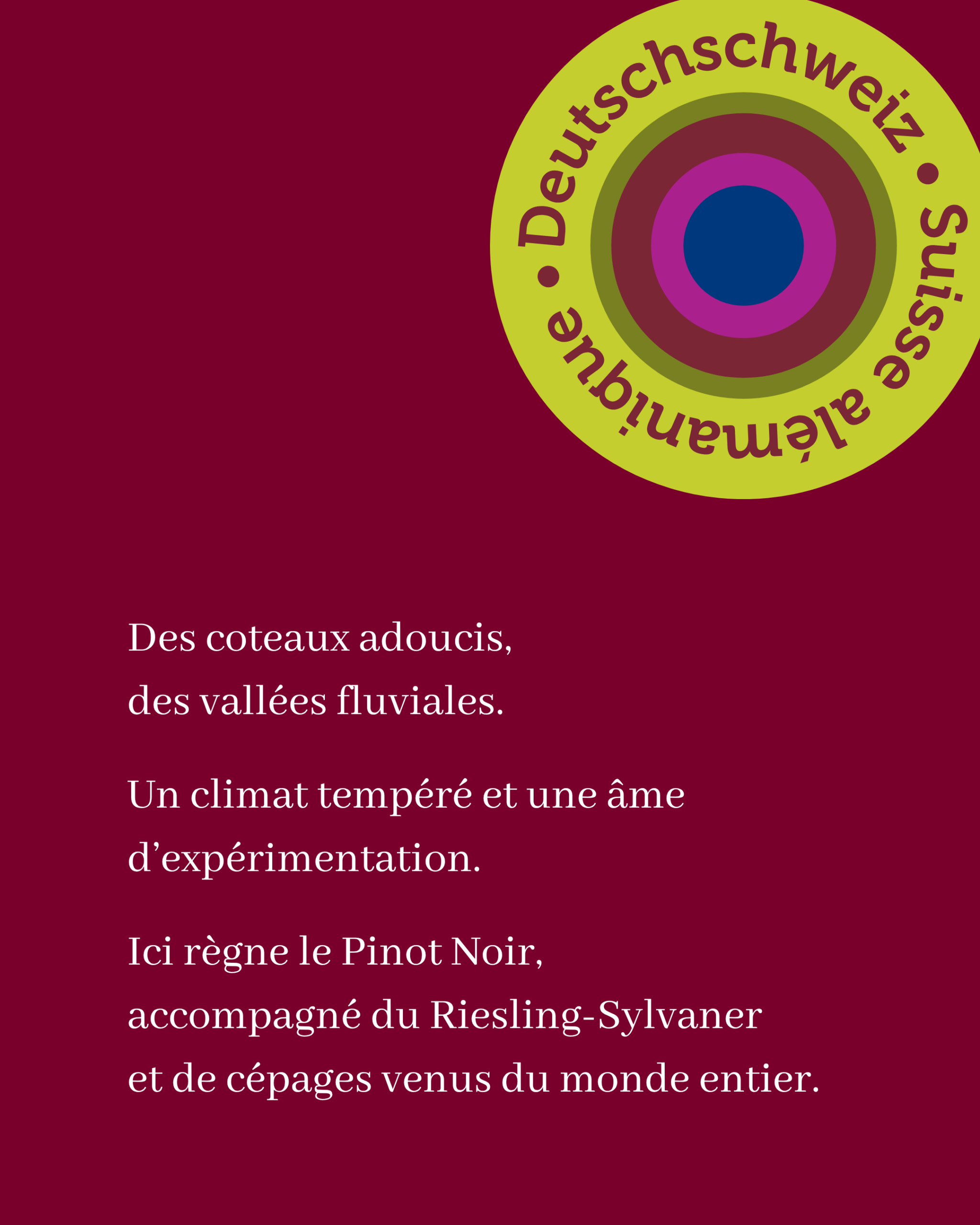 Nous Artisanes du Vin - Coffret 6 - Regions viticoles - instagram - portfolio website - Schwarz&Co