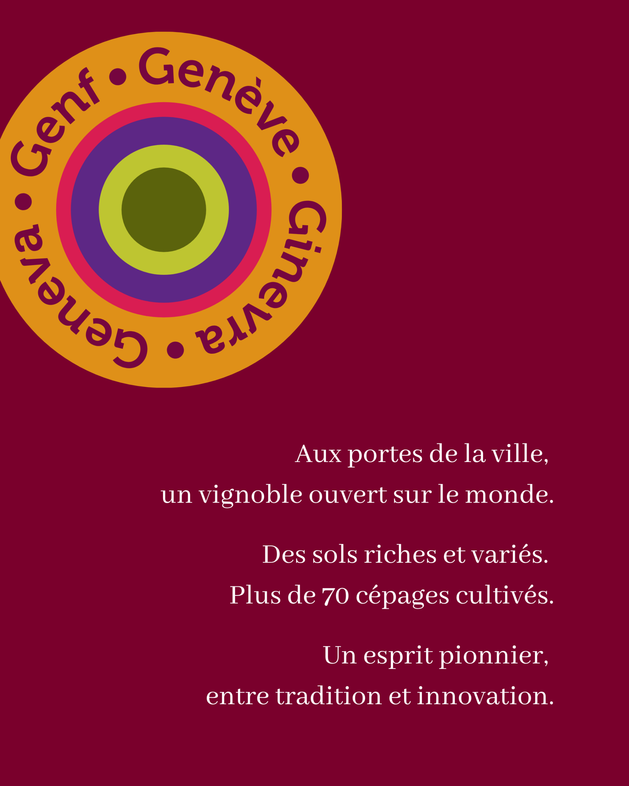 Nous Artisanes du Vin - Coffret 6 - Regions viticoles - instagram - portfolio website - Schwarz&Co