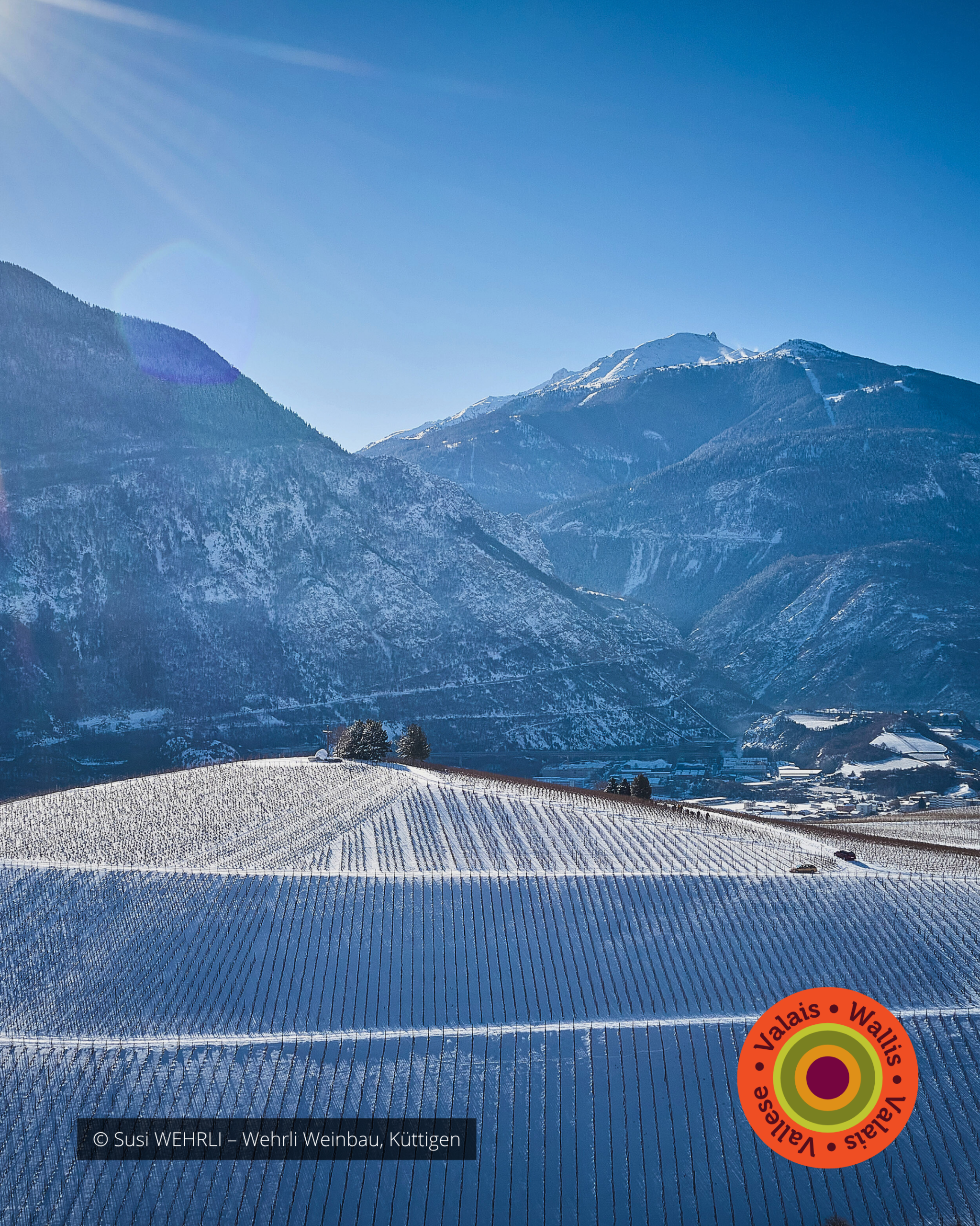 Nous Artisanes du Vin - Coffret 6 - Regions viticoles - instagram - portfolio website - Schwarz&Co