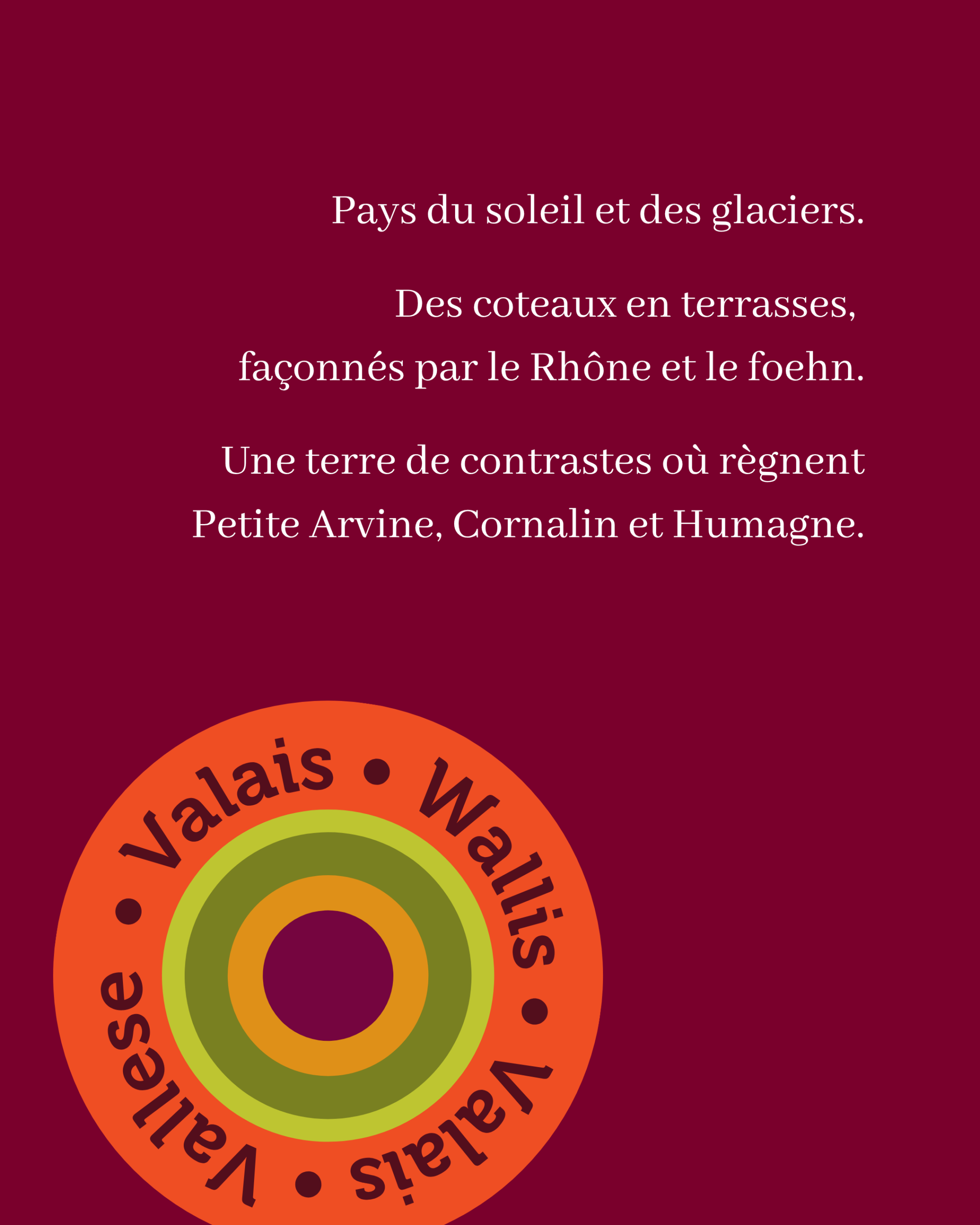 Nous Artisanes du Vin - Coffret 6 - Regions viticoles - instagram - portfolio website - Schwarz&Co