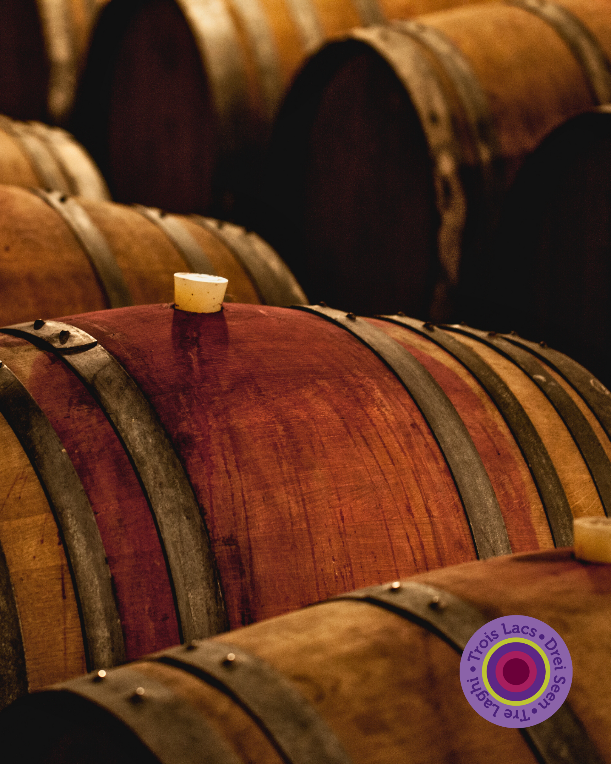 Nous Artisanes du Vin - Coffret 6 - Regions viticoles - instagram - portfolio website - Schwarz&Co