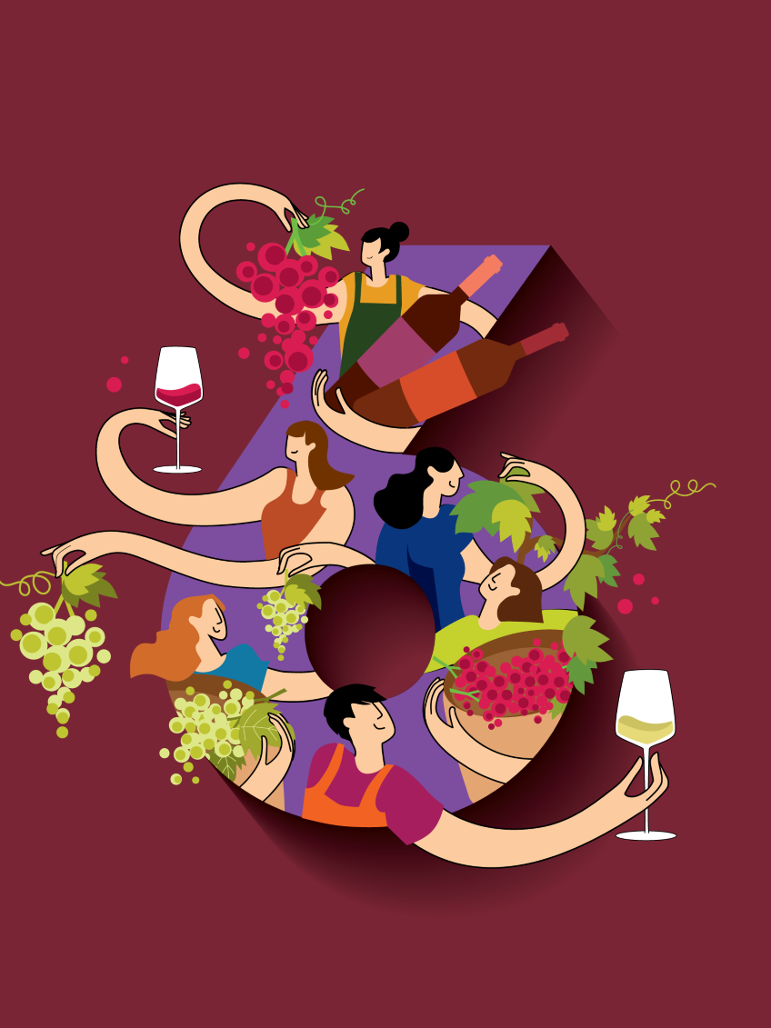 Nous Artisanes du Vin Coffret 6 - portfolio website - Schwarz&Co