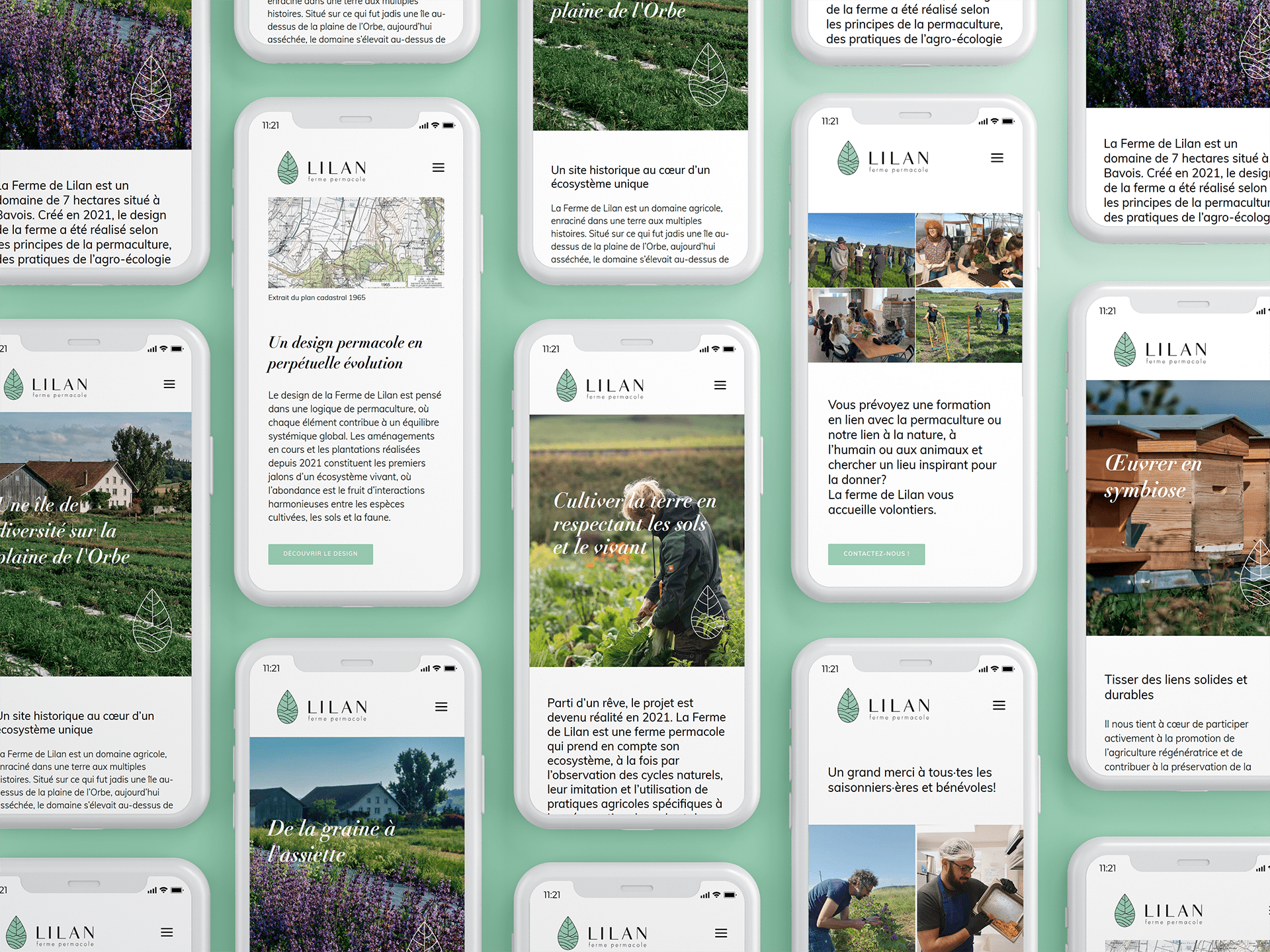 Lilan site web - portfolio website - Schwarz&Co