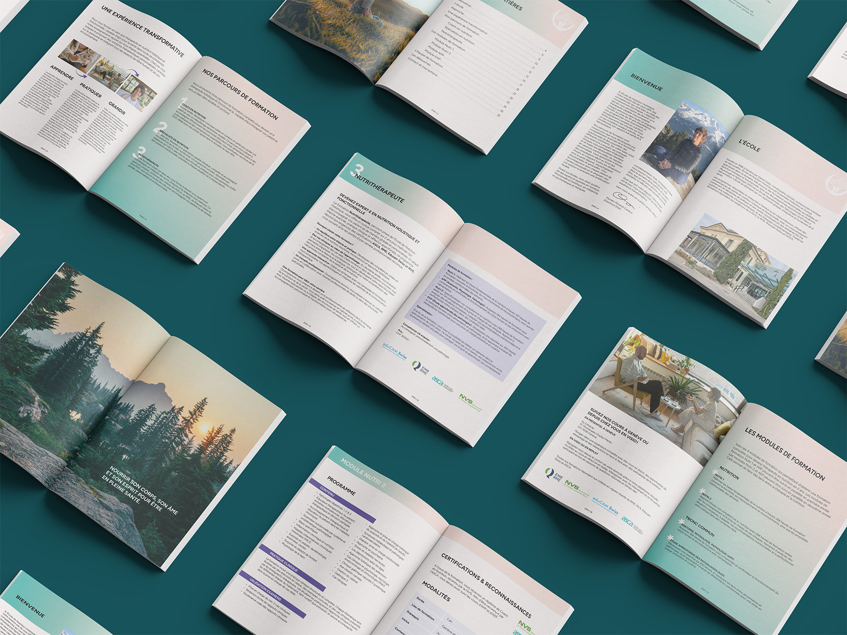 ENH - Ecole de nutrition Holistique - portfolio website - Schwarz&Co